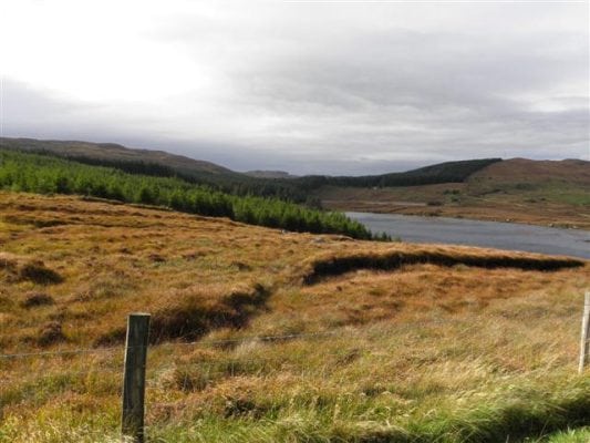 Derkmore Wood Nature Reserve, Donegal | Location | Activeme.ie